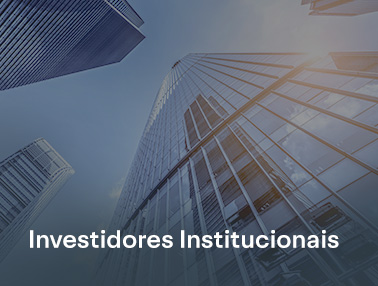 Investidores Institucionais